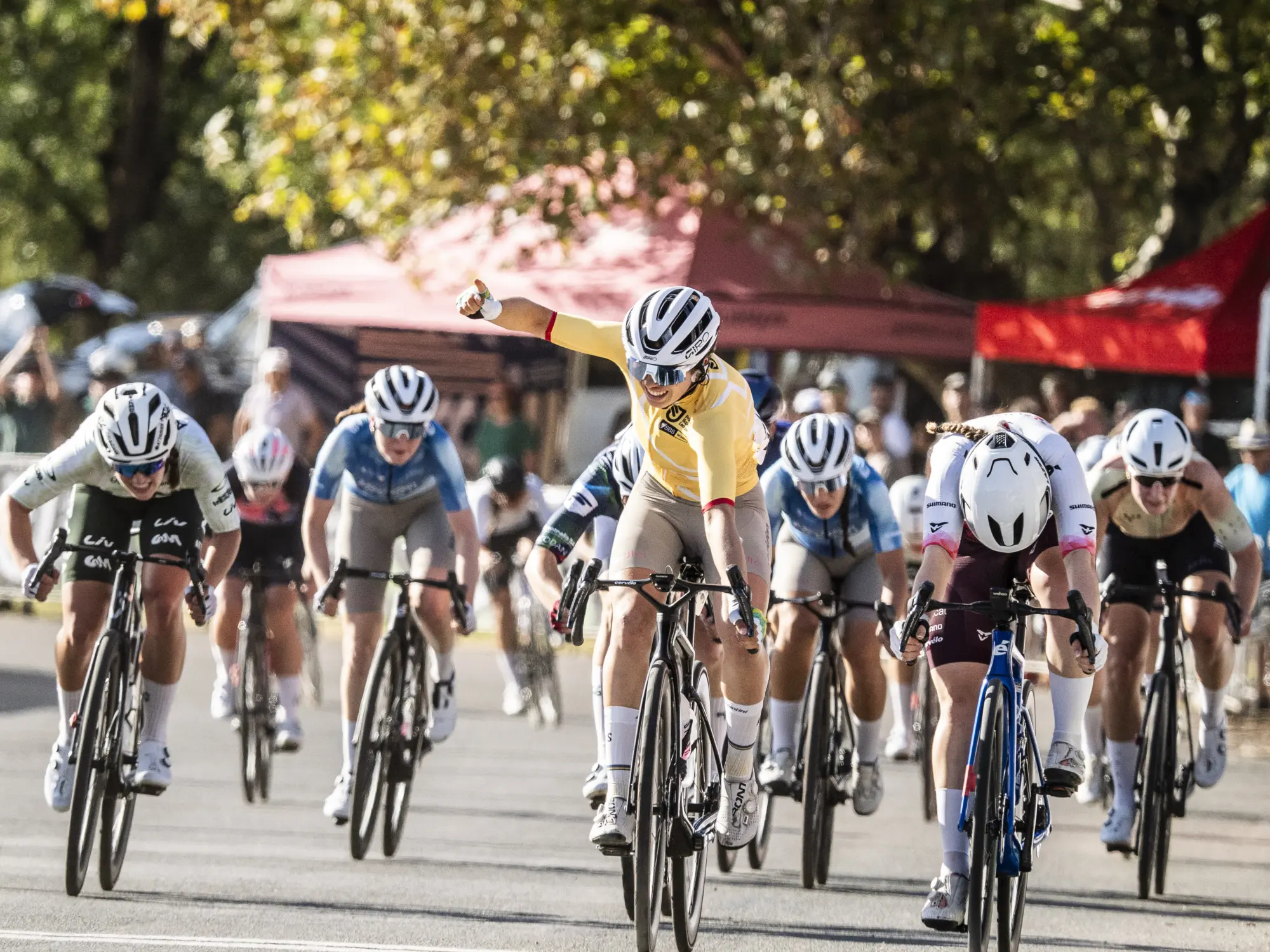 PROVELO CRIT 2026 2416