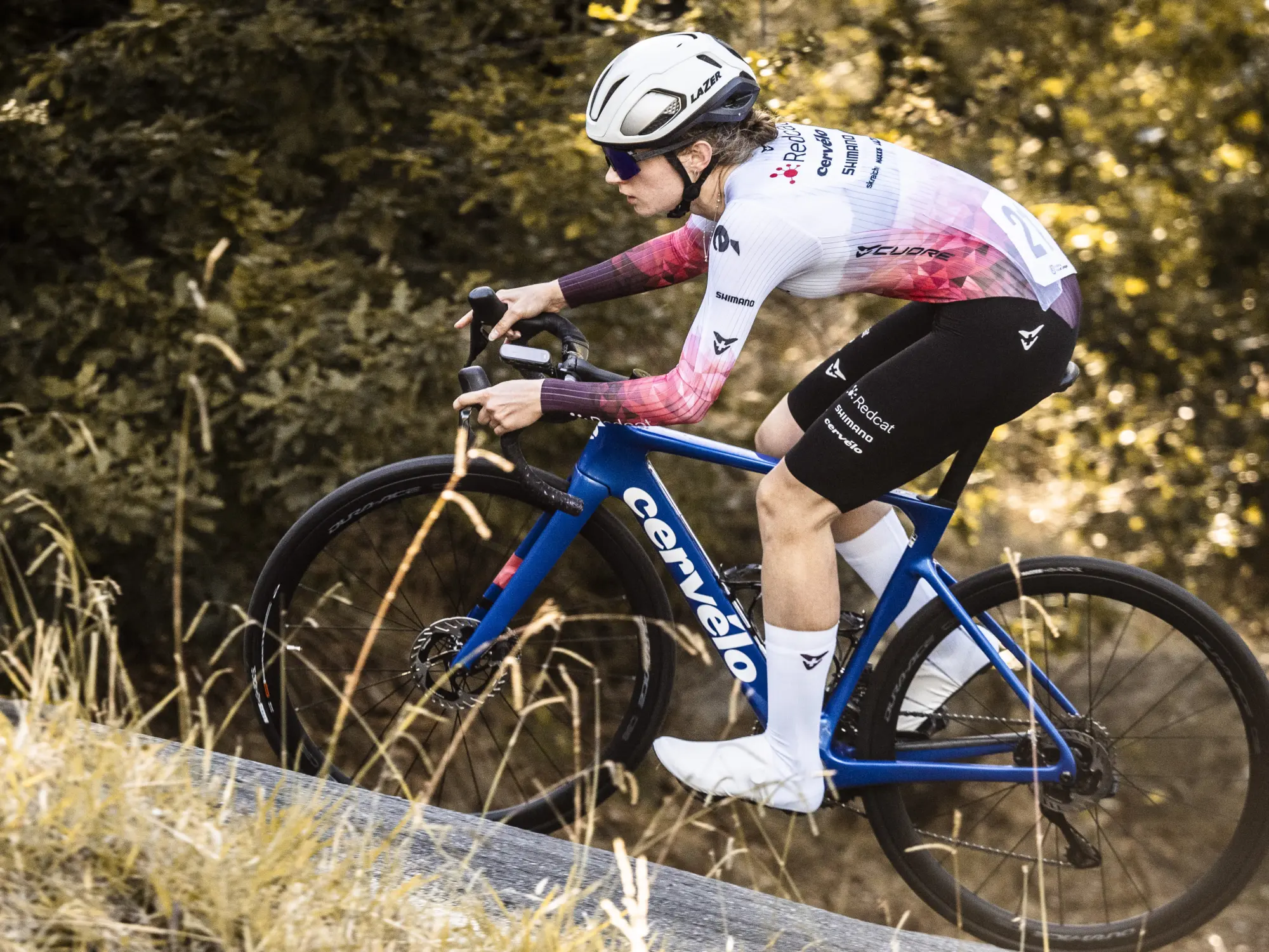 PROVELO TAS S1 2026 3325