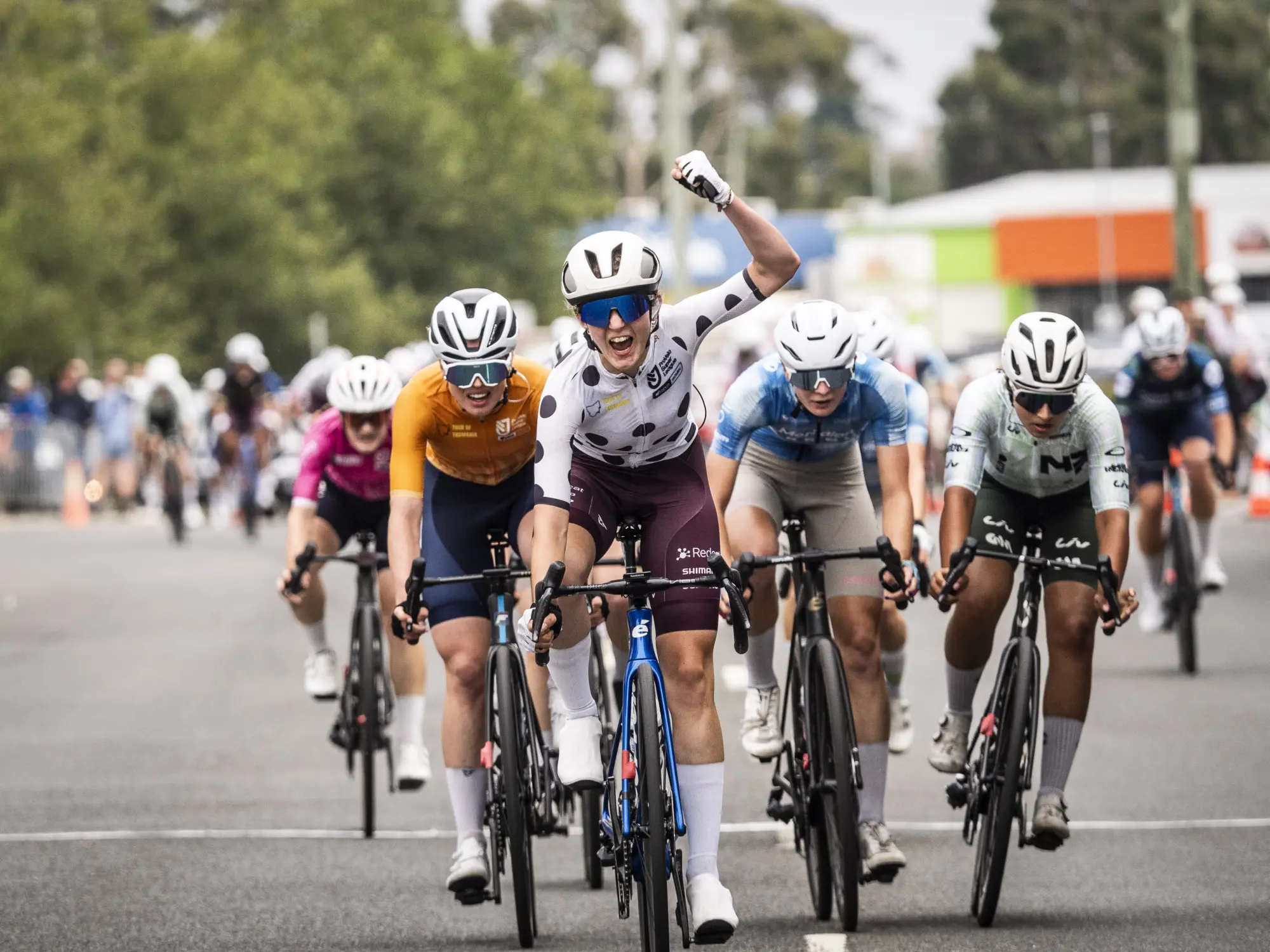 PROVELO TAS S4 2026 0676