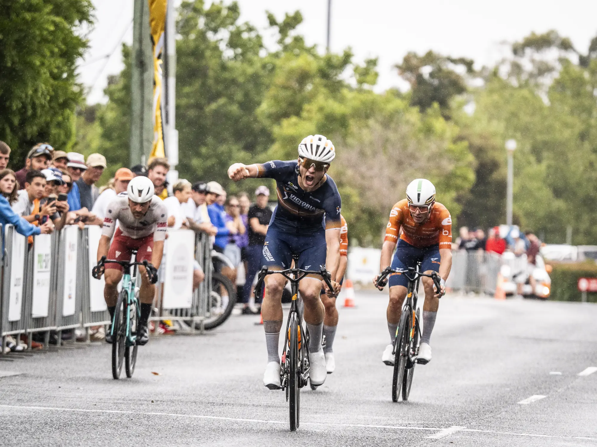 PROVELO TAS S4 2026 1588