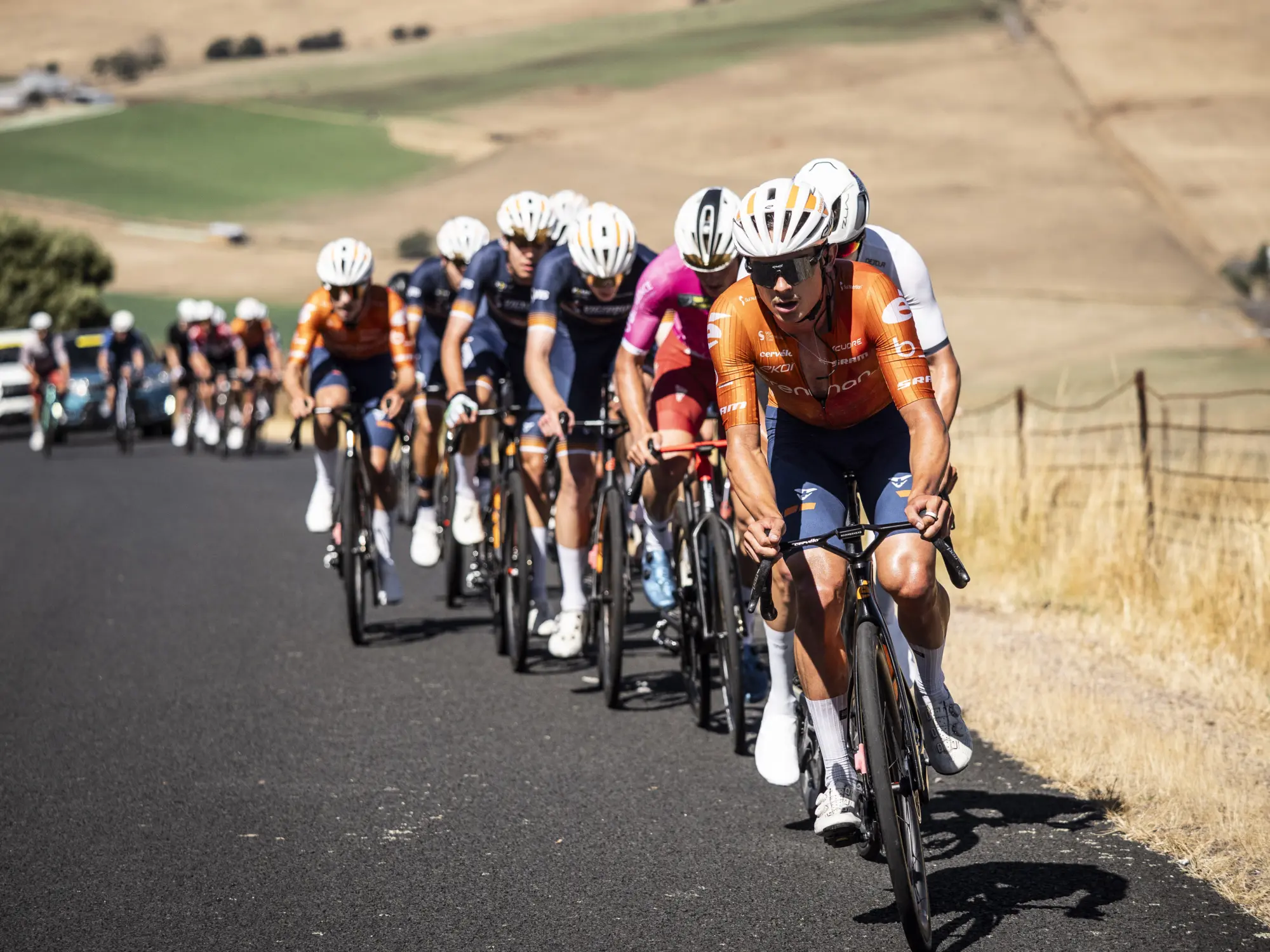 PROVELO TAS S2 2026 4593