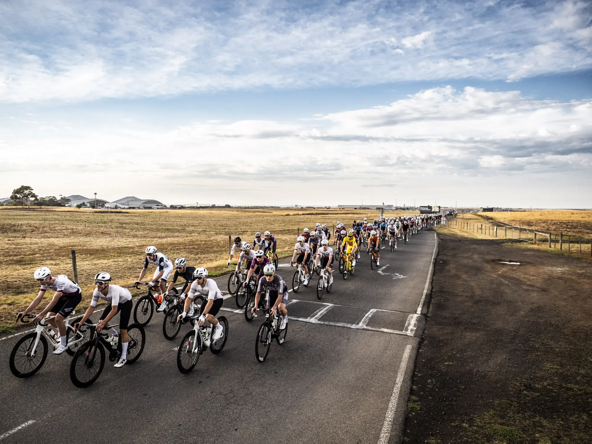 PRO VELO M2 W 2026 1951