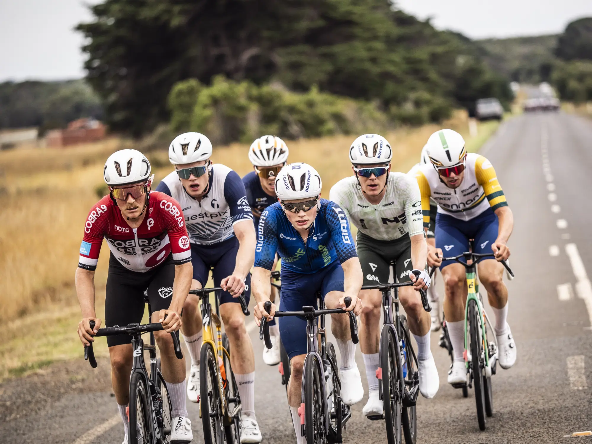 PRO VELO M2 W 2026 0942