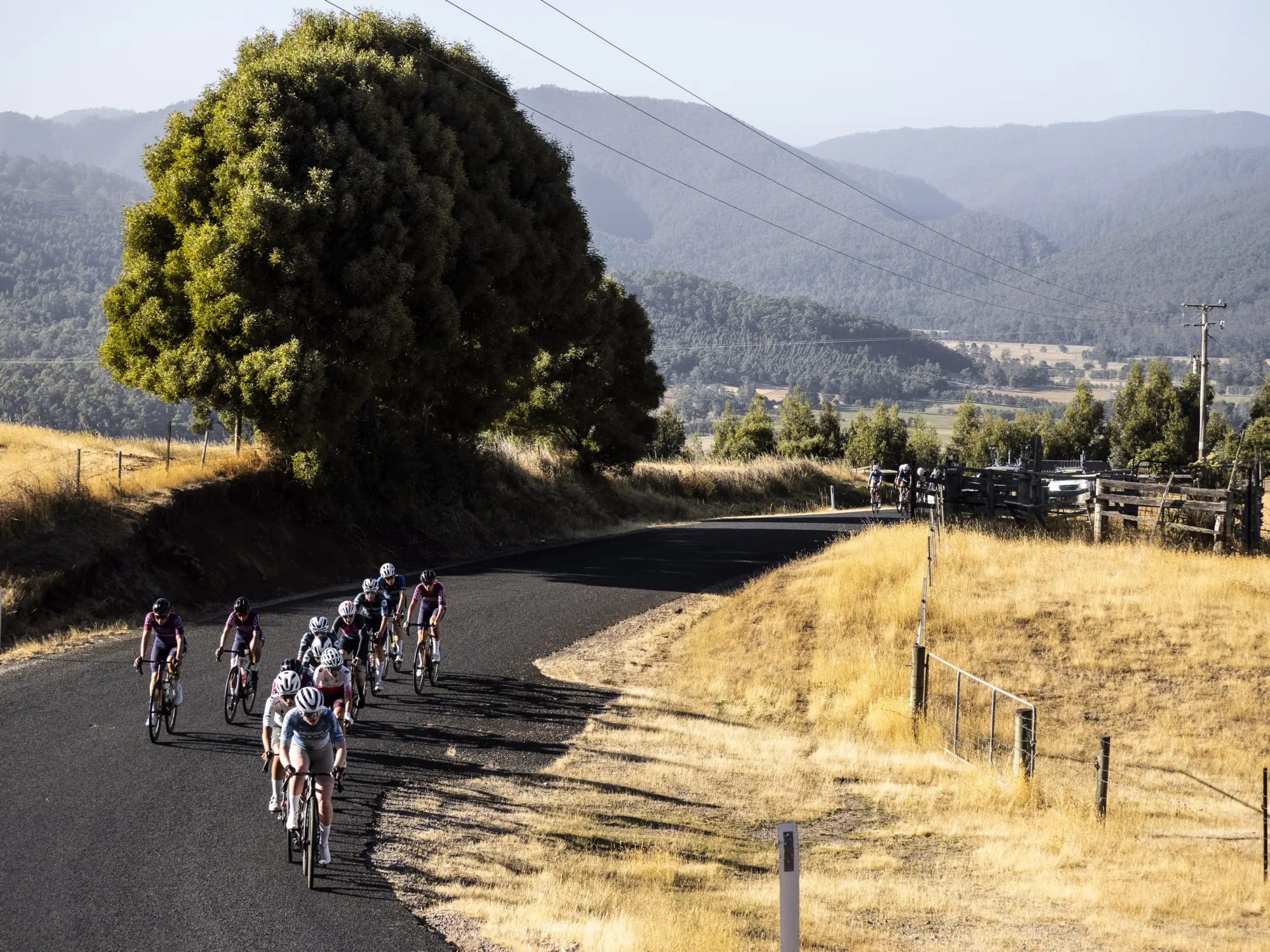 PROVELO TAS S2 2026 0452