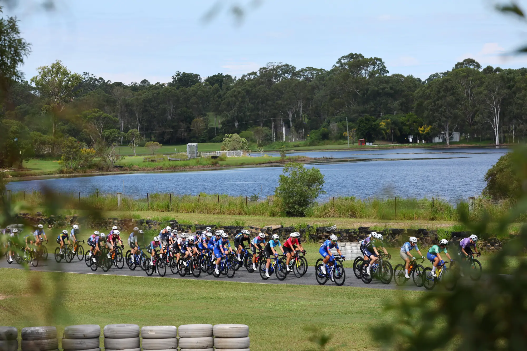 Pro Velo Stg 3 RR 38823